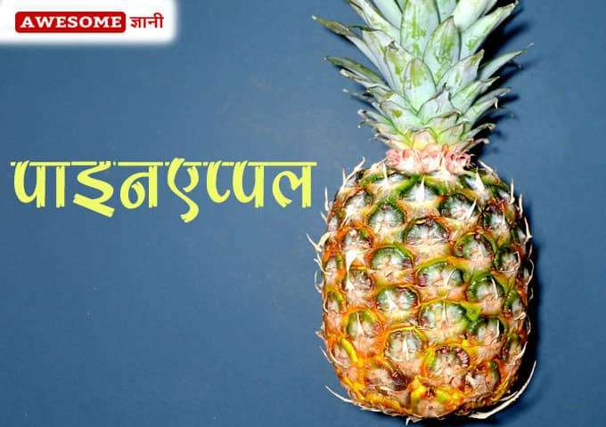 Pineapple