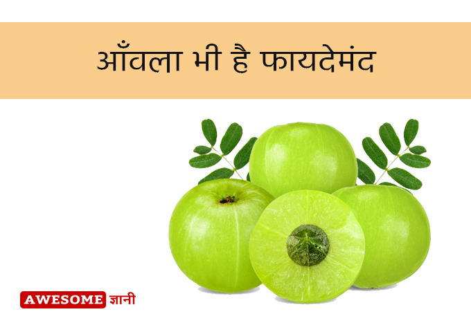 Indian gooseberry is also beneficial - Hair Fall Treatment at home in Hindi