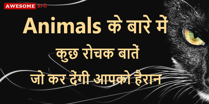 Amazing Facts in Hindi about Animals | जानवरों के बारे में रोचक जानकारी |