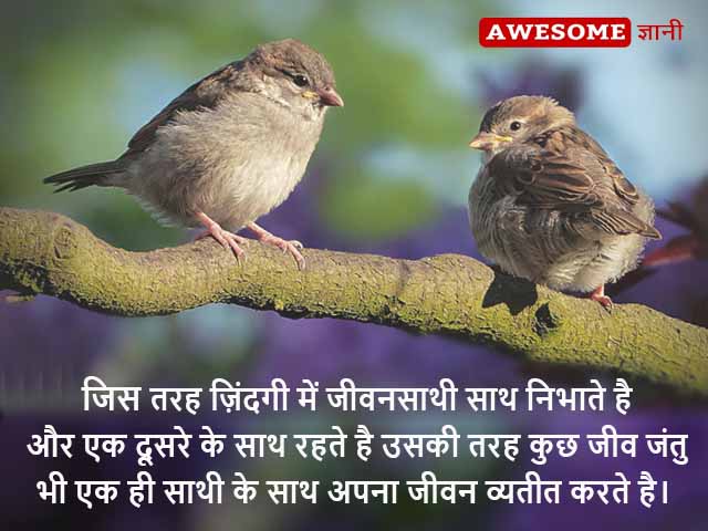 psychological facts about love and crushes in Hindi