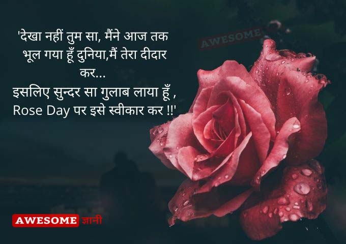 Rose Day Quotes in Hindi for girlfriend