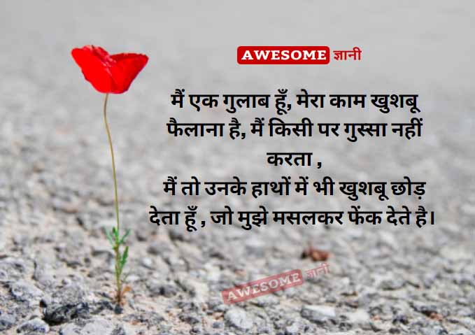 Shayari on Rose in Hindi