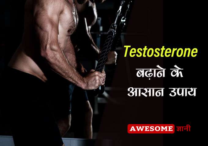 Tips to Increase Testosterone in Hindi