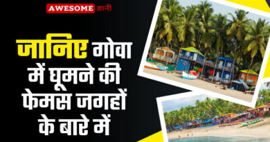 Top 7 Places to visit in Goa in Hindi Places to visit in Goa in Hindi