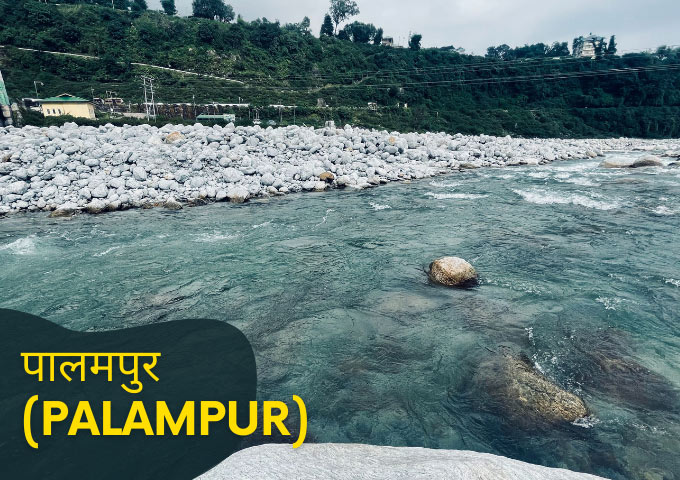 पालमपुर Palampur Himachal Pradesh