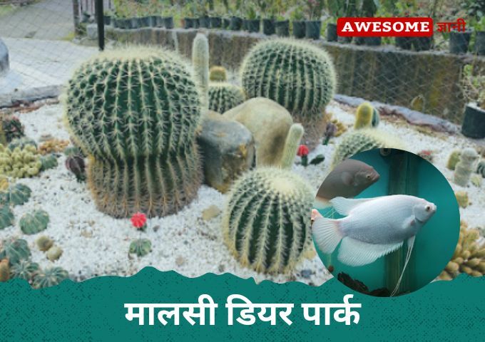 मालसी डियर पार्क Malsi Deer Park Dehradun