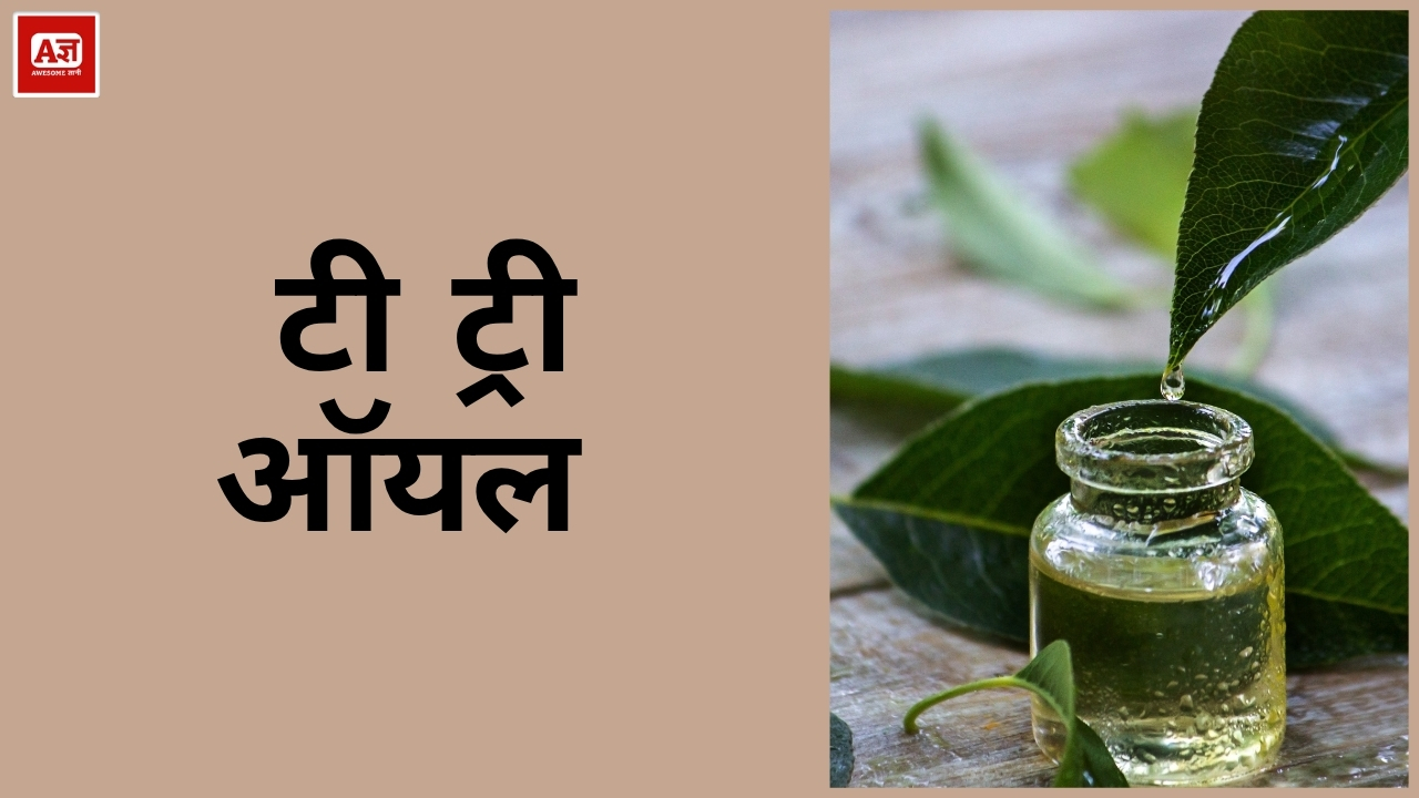 टी ट्री ऑयल